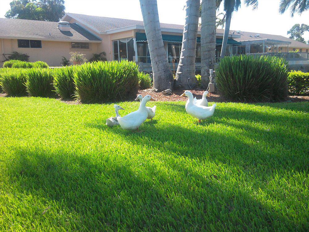 Hollywood Beach Golf Resort Kültér fotó